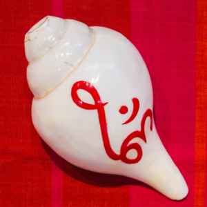 Conch for navratri puja