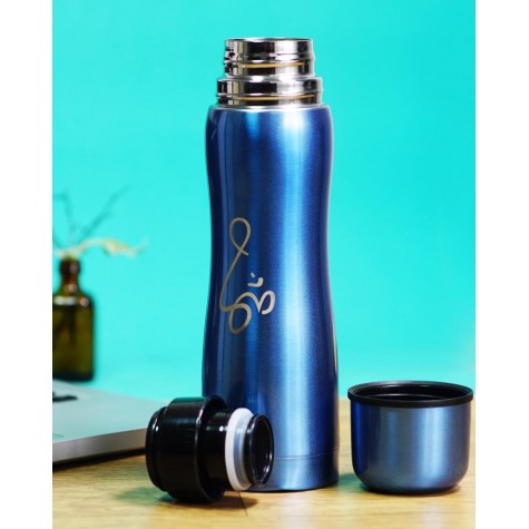 Steel Flask Pluto - 500 ml.