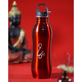 Curvy Steel Water Bottle