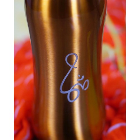 Curvy Steel Water Bottle