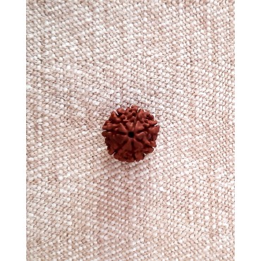 Rudraksha Bead - 7 Mukhi (17-18mm)